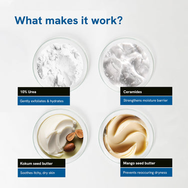 Be Bodywise 10% Urea Body Lotion 200ml | 48 Hour Dry Skin Relief | For Very Dry & Flaky Skin | With Ceramides, Kokum & Mango Seed Butter | Non-Greasy & Lightweight Formula